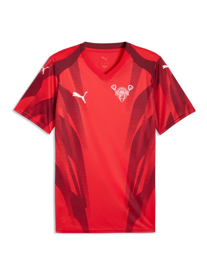PUMA teamFINAL Graphic+ Trikot