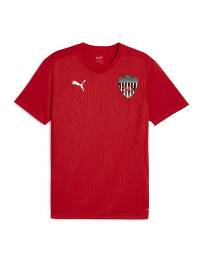PUMA teamFINAL Trainingsshirt