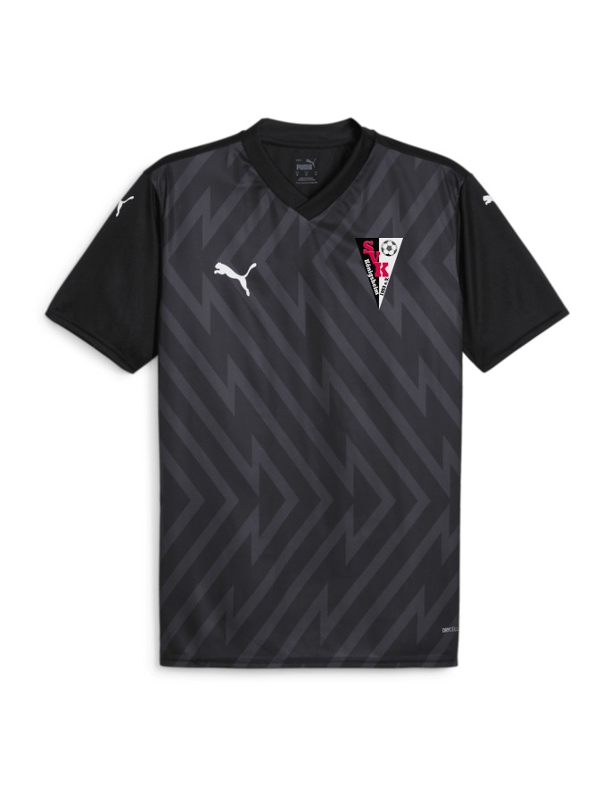 PUMA teamGLORY Trikot