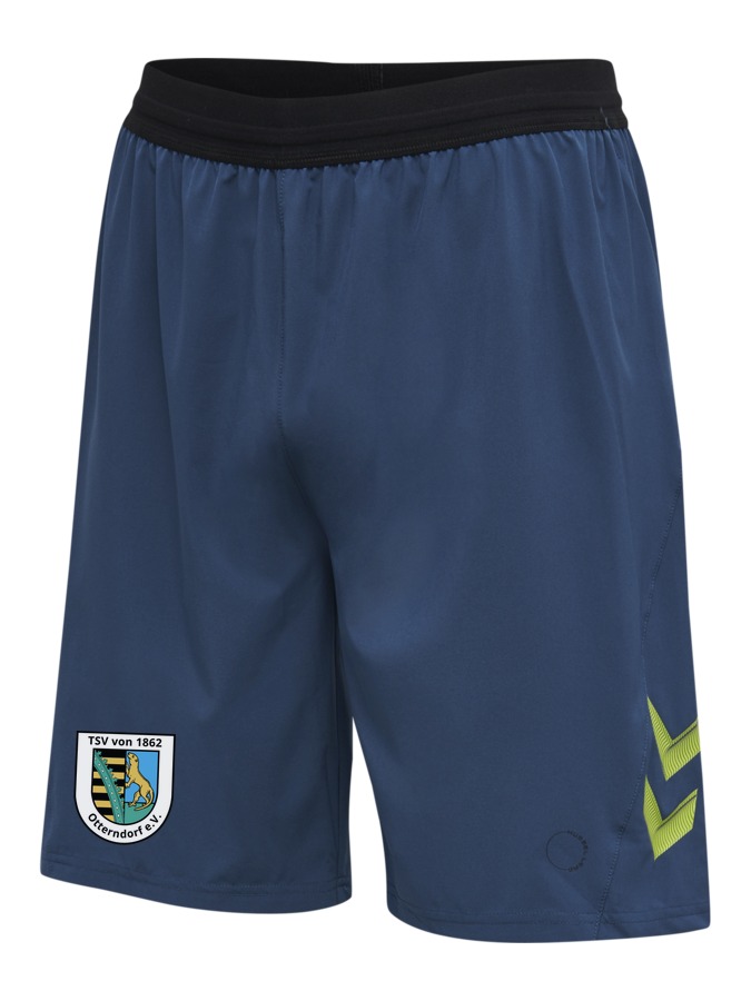 Hummel Lead Pro Training Shorts
