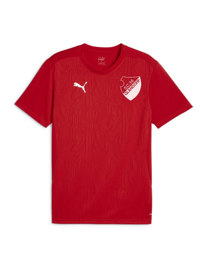 PUMA teamFINAL Trainingsshirt