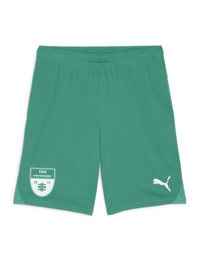 PUMA teamGOAL Shorts