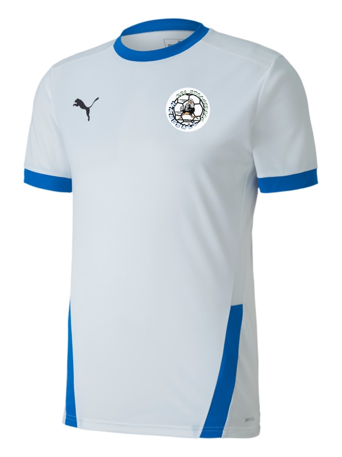 PUMA teamGOAL 23 Trikot