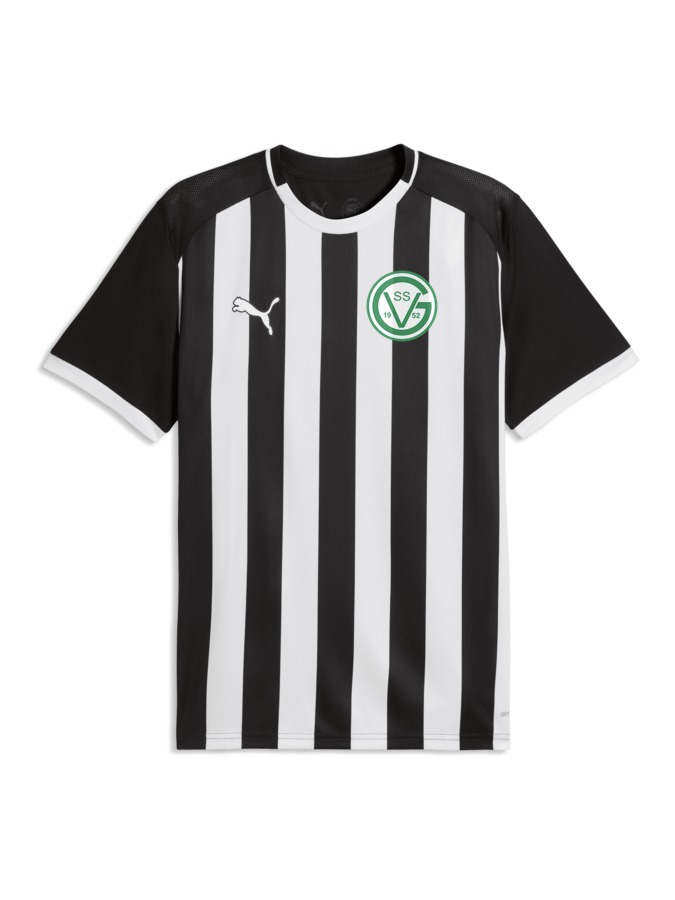 PUMA teamLIGA26 Striped Trikot