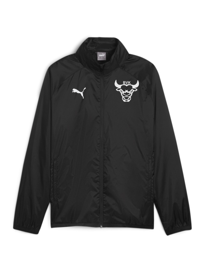 PUMA teamGOAL Allwetterjacke