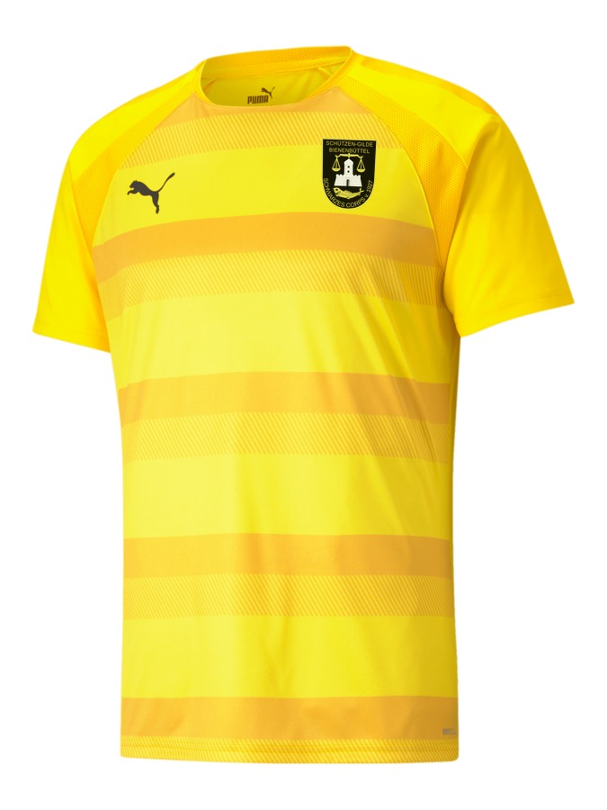 PUMA teamVISION Trikot