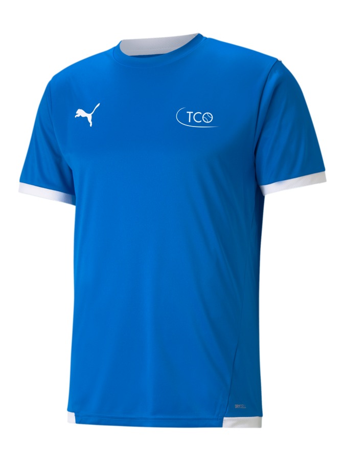 PUMA teamLIGA Trikot
