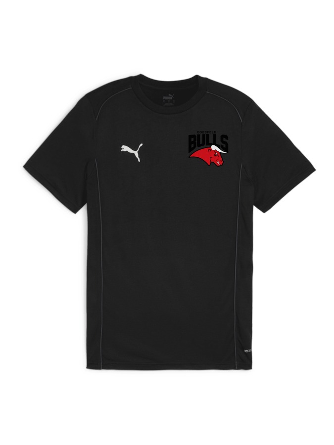 PUMA teamFINAL Casuals T-Shirt