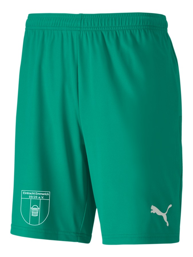 PUMA teamGOAL 23 Knit Shorts