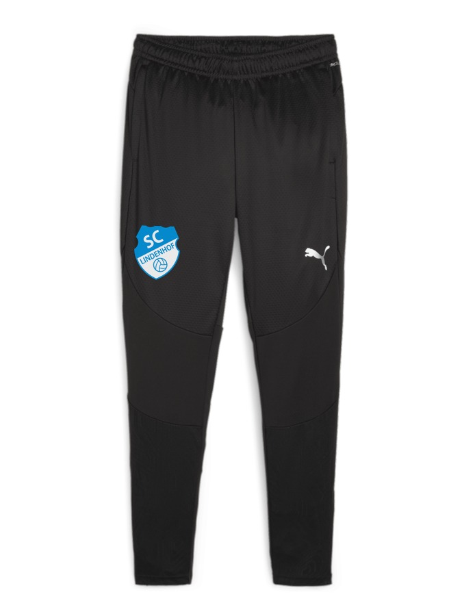 PUMA teamFINAL Trainingshose