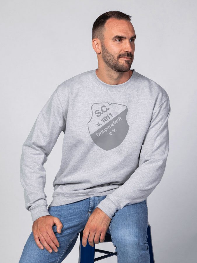 Sweater All Grey Herren