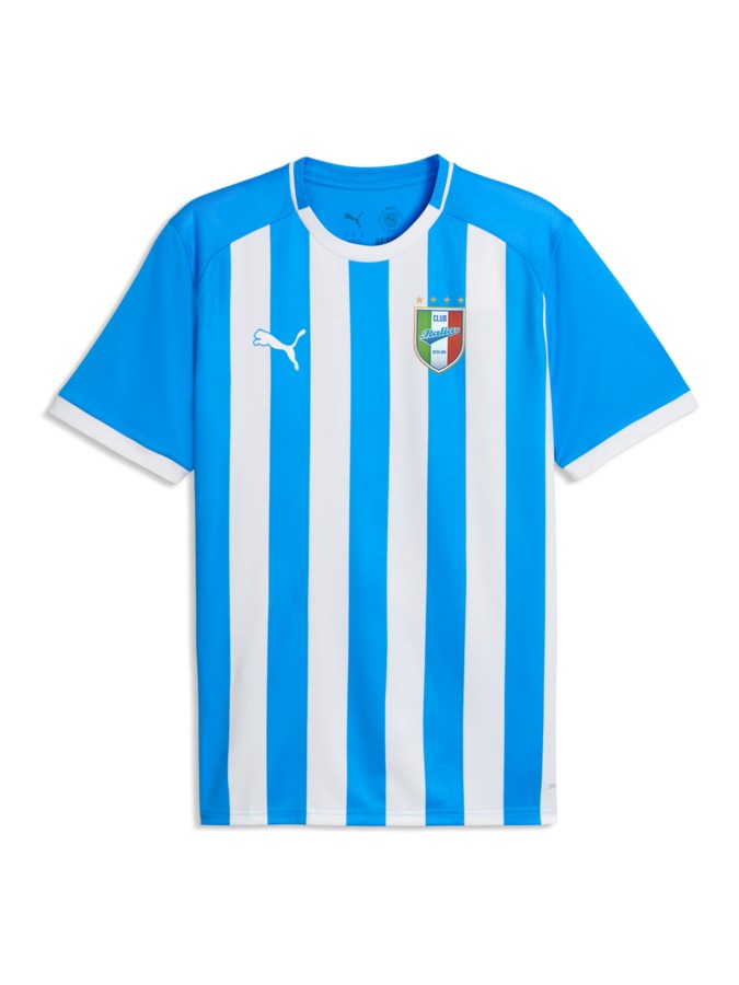 PUMA teamLIGA26 Striped Trikot