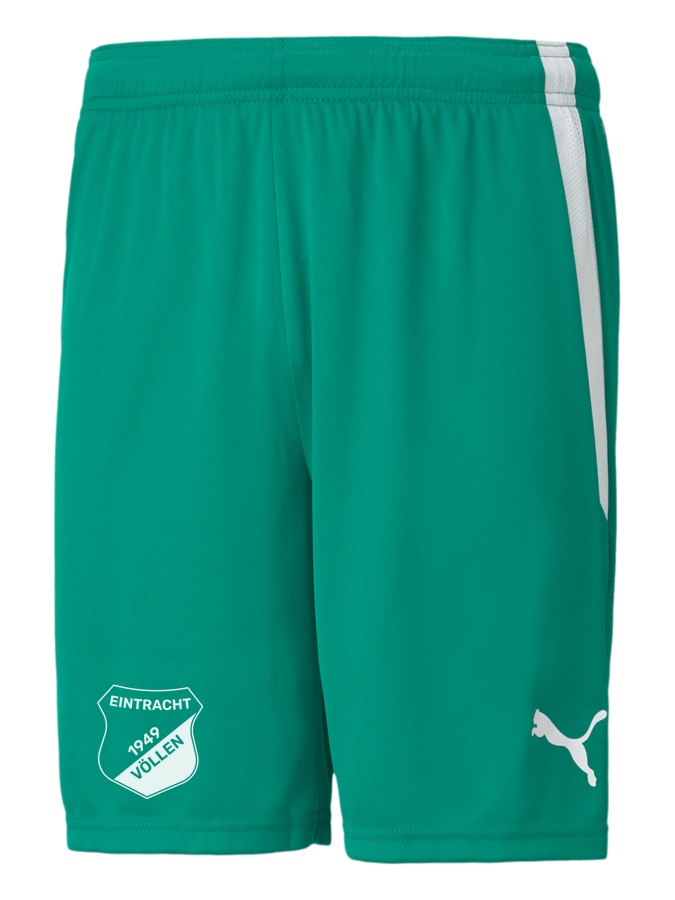 PUMA teamLIGA Shorts