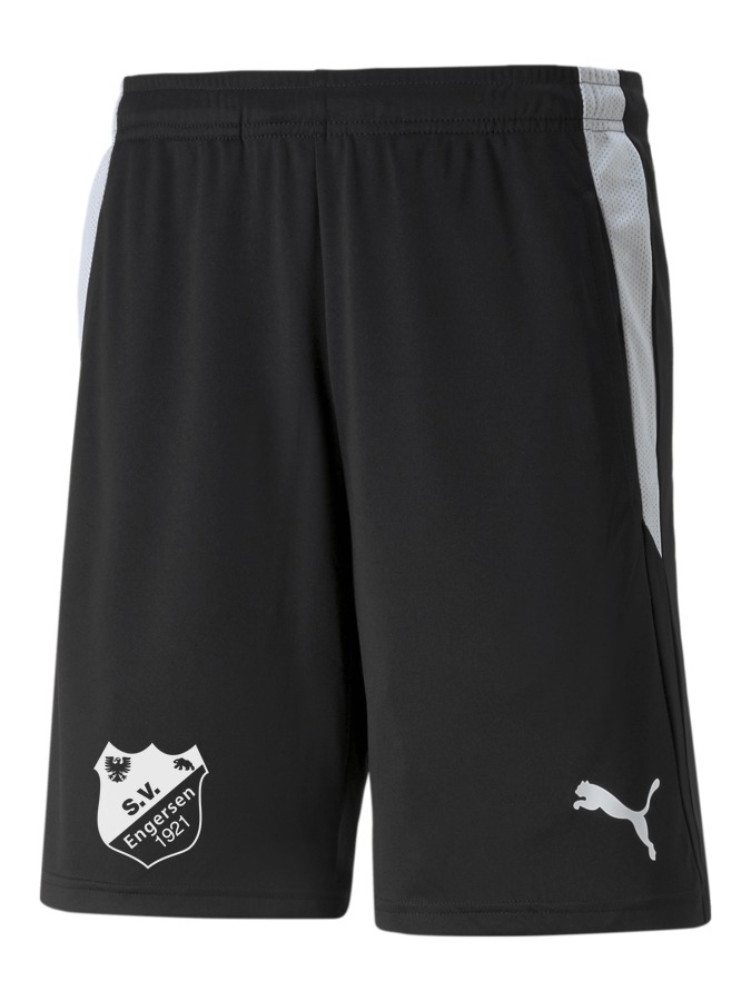 PUMA teamLIGA Referee Shorts