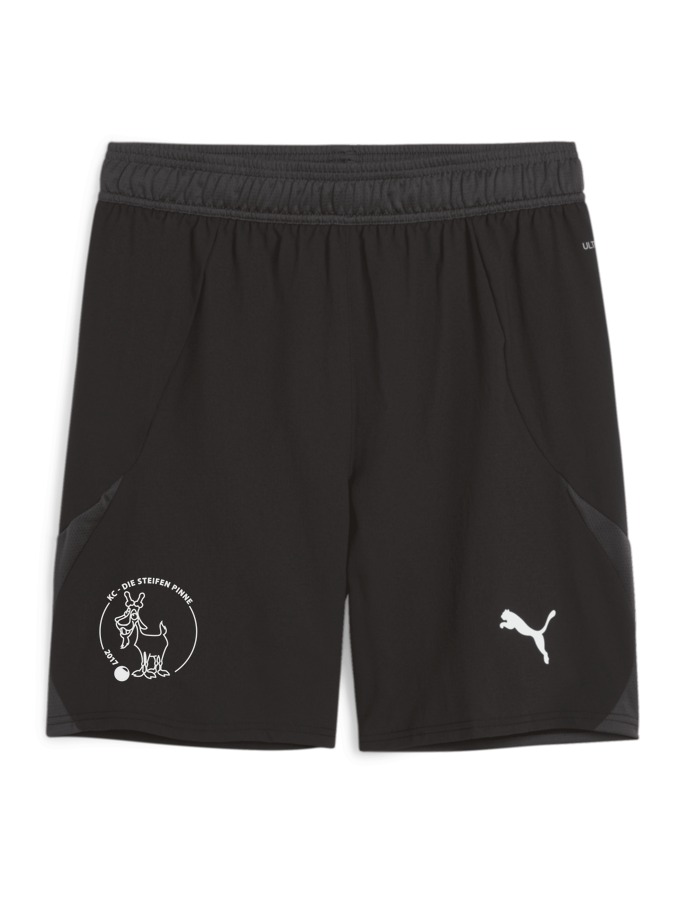 PUMA teamFINAL Shorts