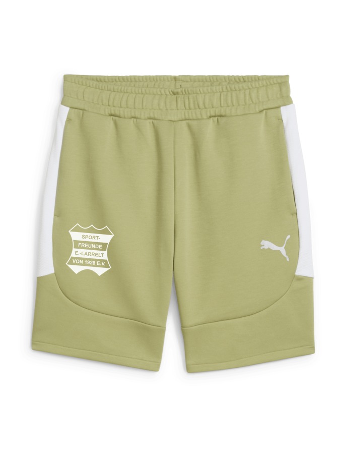 PUMA teamEVOSTRIPE Shorts