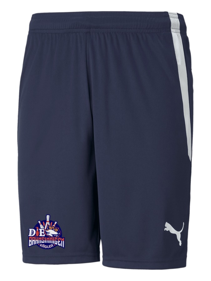 PUMA teamLIGA Shorts