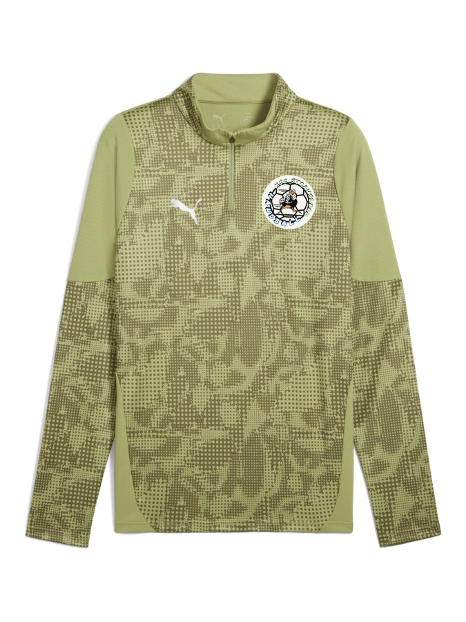 PUMA teamCUP Training 1/4-Zip-Top