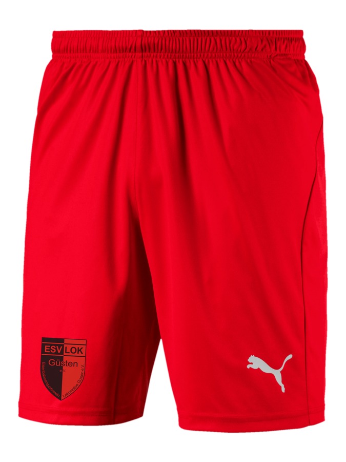 PUMA LIGA Shorts Core