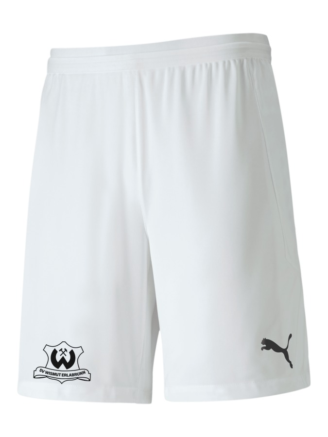 PUMA teamFINAL 21 Knit Shorts