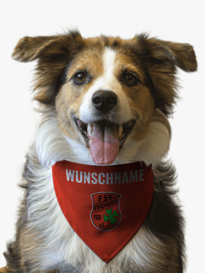 Hundehalstuch
