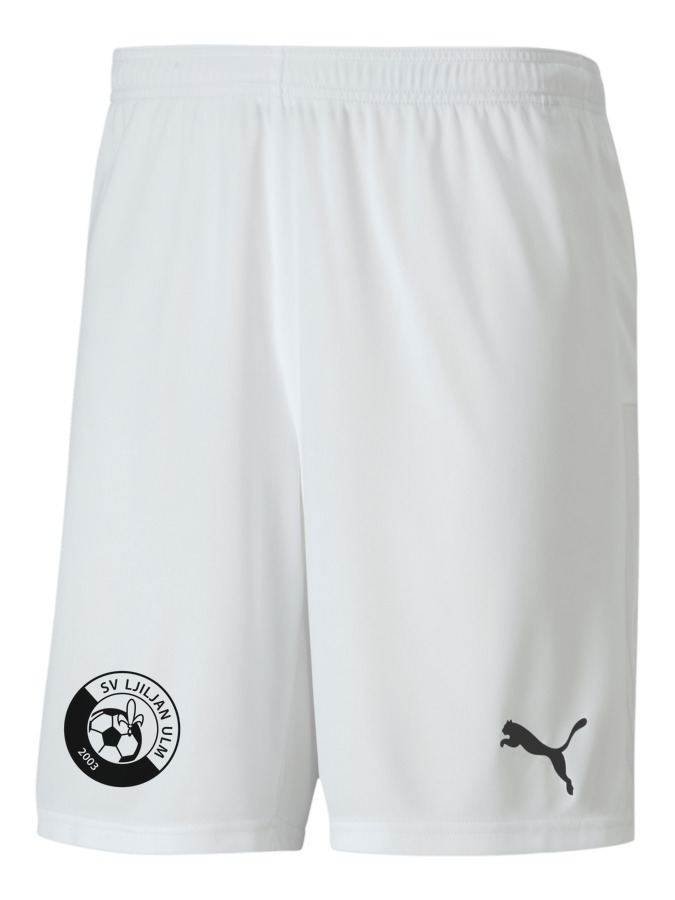 PUMA teamGOAL 23 Knit Shorts