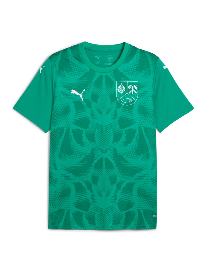 PUMA teamULTIMATE Trikot