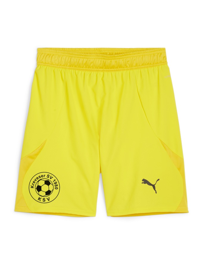 PUMA teamFINAL Shorts