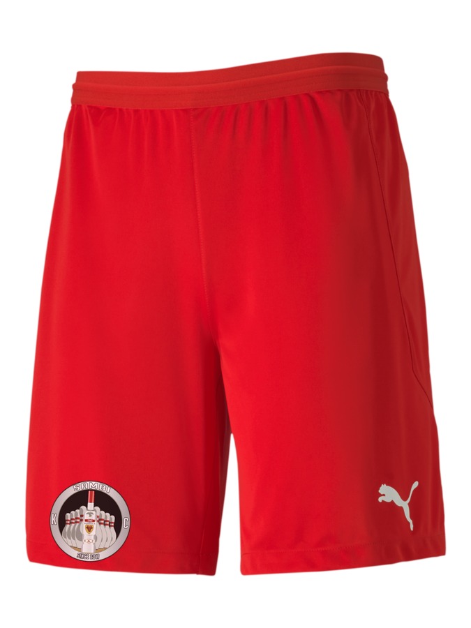 PUMA teamFINAL 21 Knit Shorts