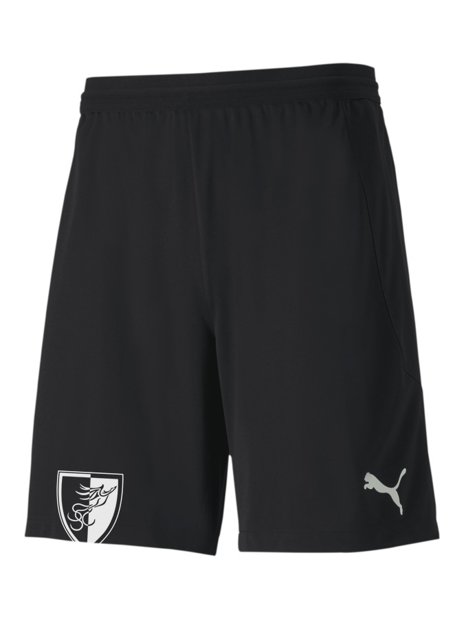 PUMA teamFINAL 21 Knit Shorts