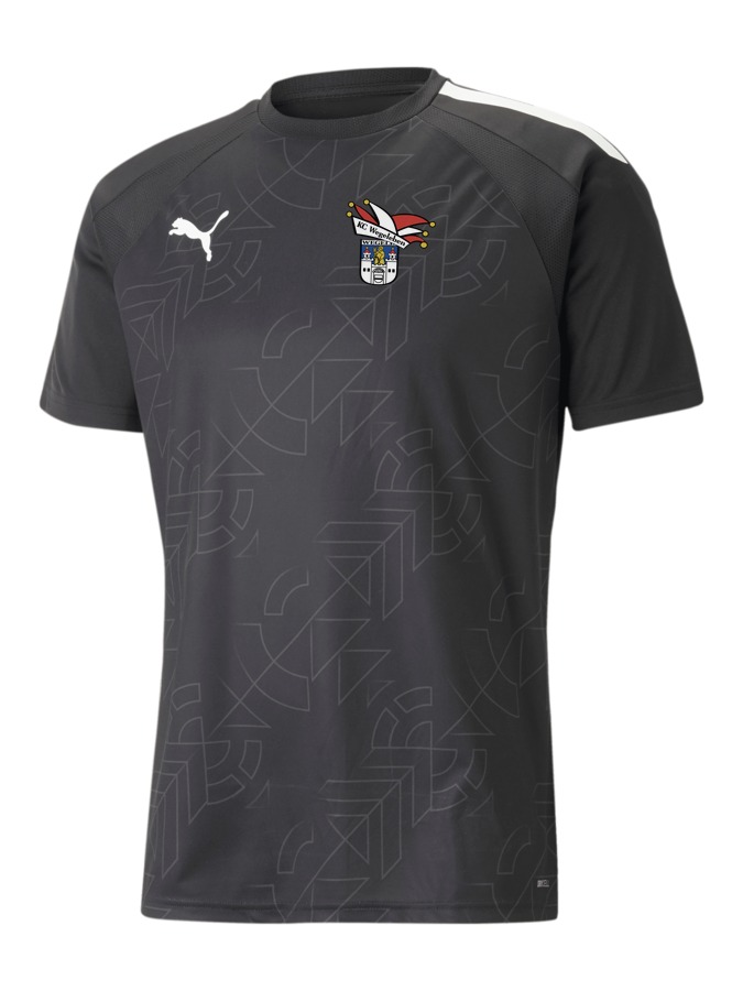 PUMA teamLIGA Graphic Trikot