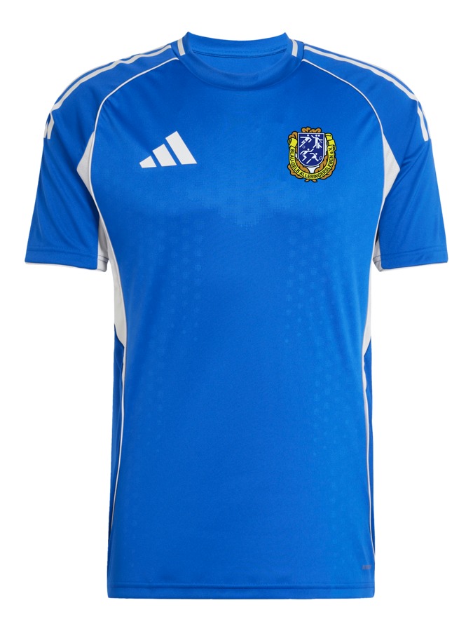adidas Tiro 25 Competition Match Trikot