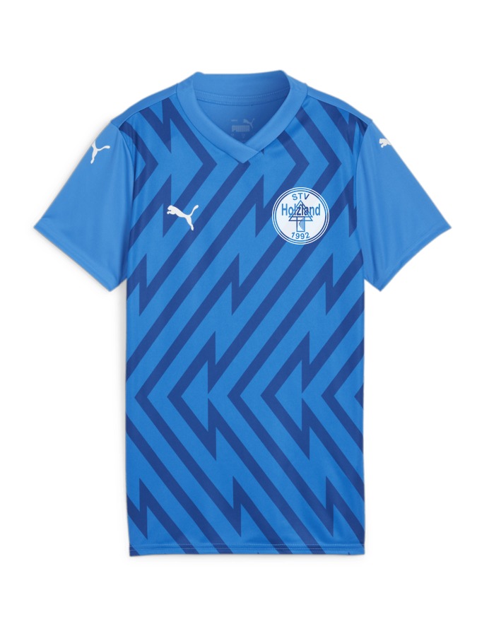 PUMA teamGLORY Trikot Damen