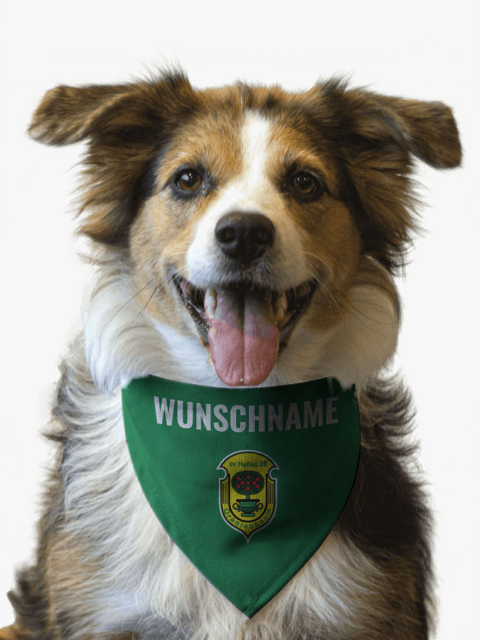 Hundehalstuch