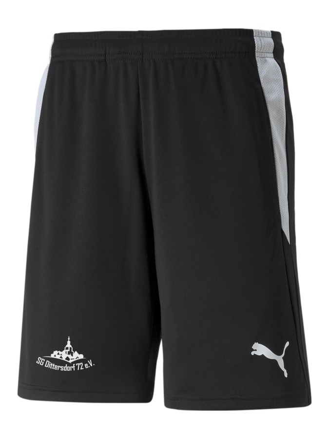PUMA teamLIGA Referee Shorts
