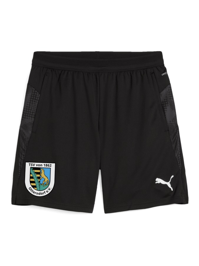 PUMA teamCUP Training Shorts