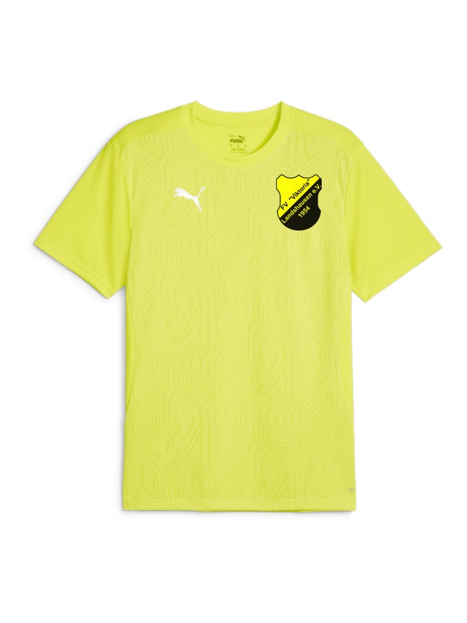 PUMA teamFINAL Trainingsshirt