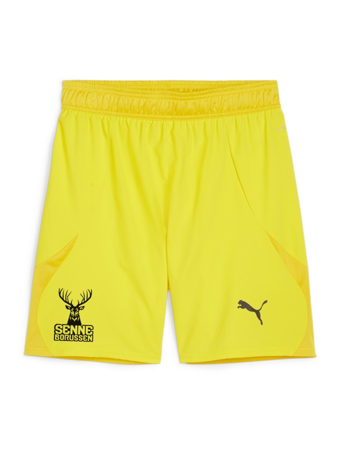 PUMA teamFINAL Shorts