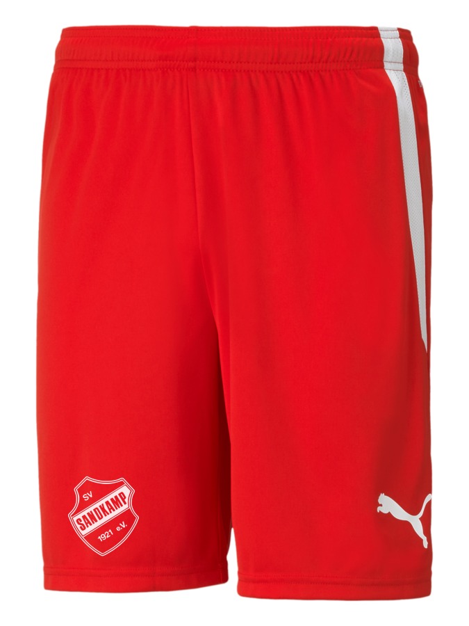 PUMA teamLIGA Shorts