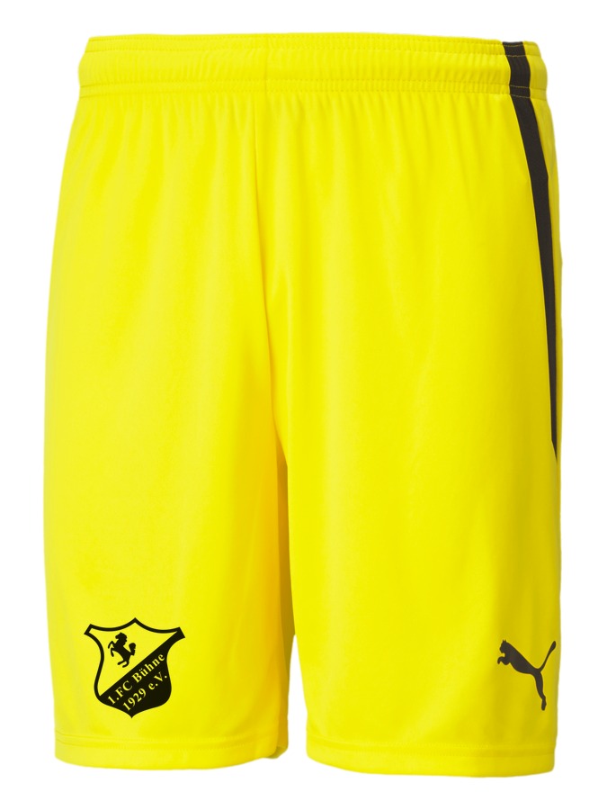 PUMA teamLIGA Shorts