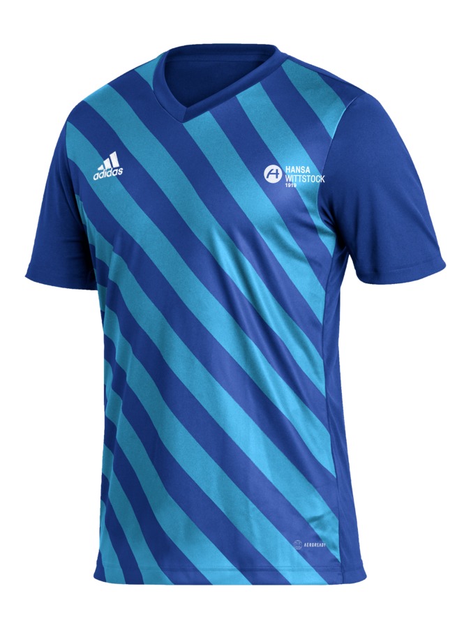 adidas Entrada 22 GFX Trikot