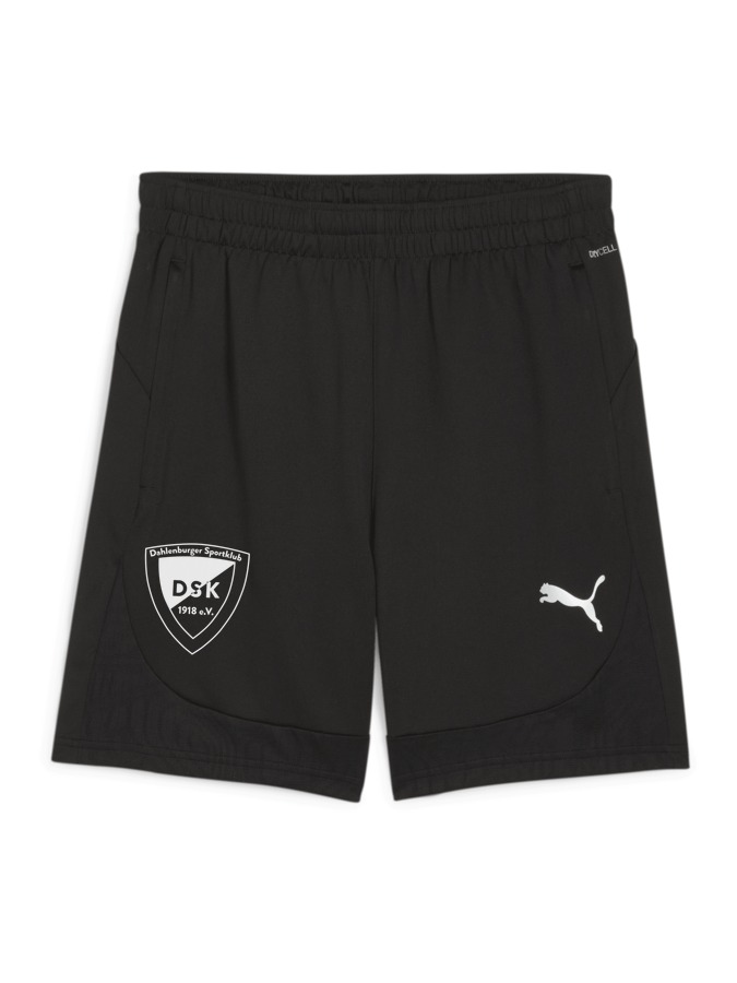 PUMA teamFINAL Training Shorts