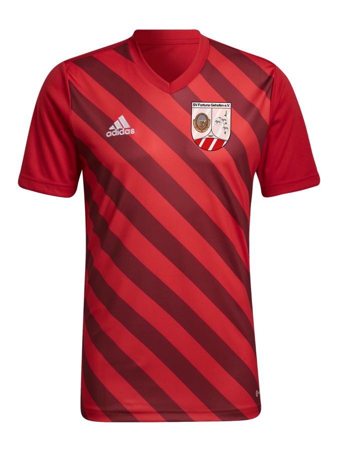 adidas Entrada 22 GFX Trikot