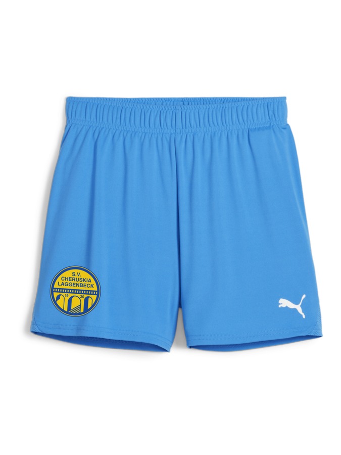 PUMA teamGOAL Handballshorts Damen