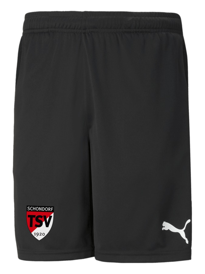 PUMA teamRISE Training Shorts