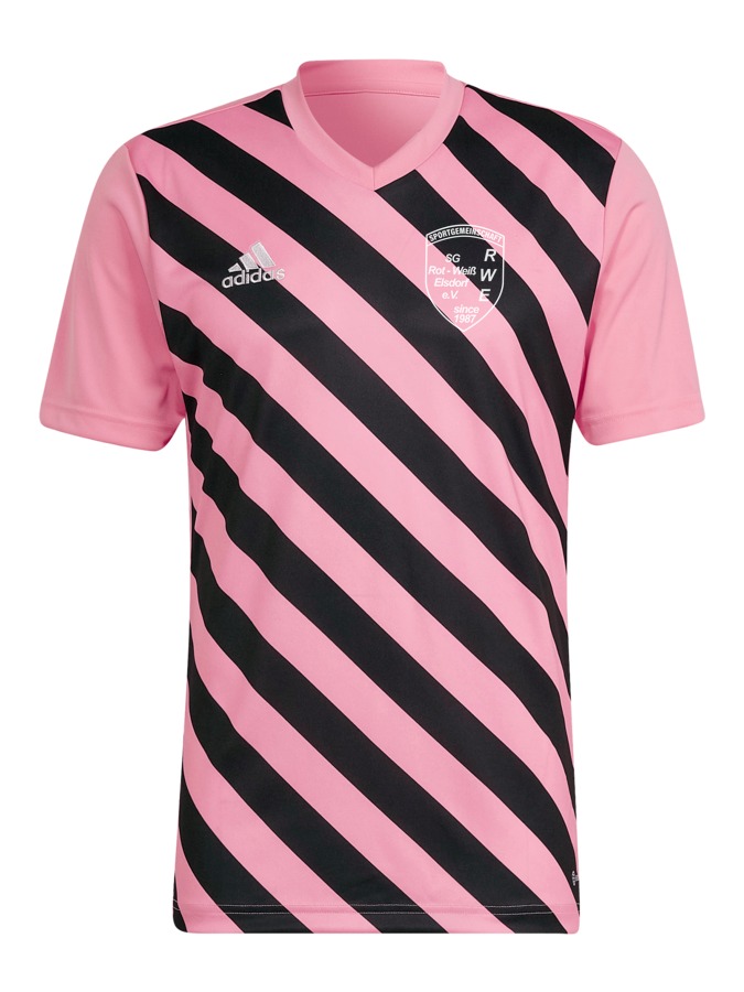 adidas Entrada 22 GFX Trikot