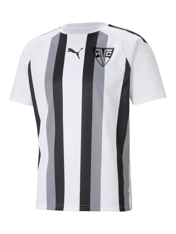 PUMA teamLIGA Striped Trikot