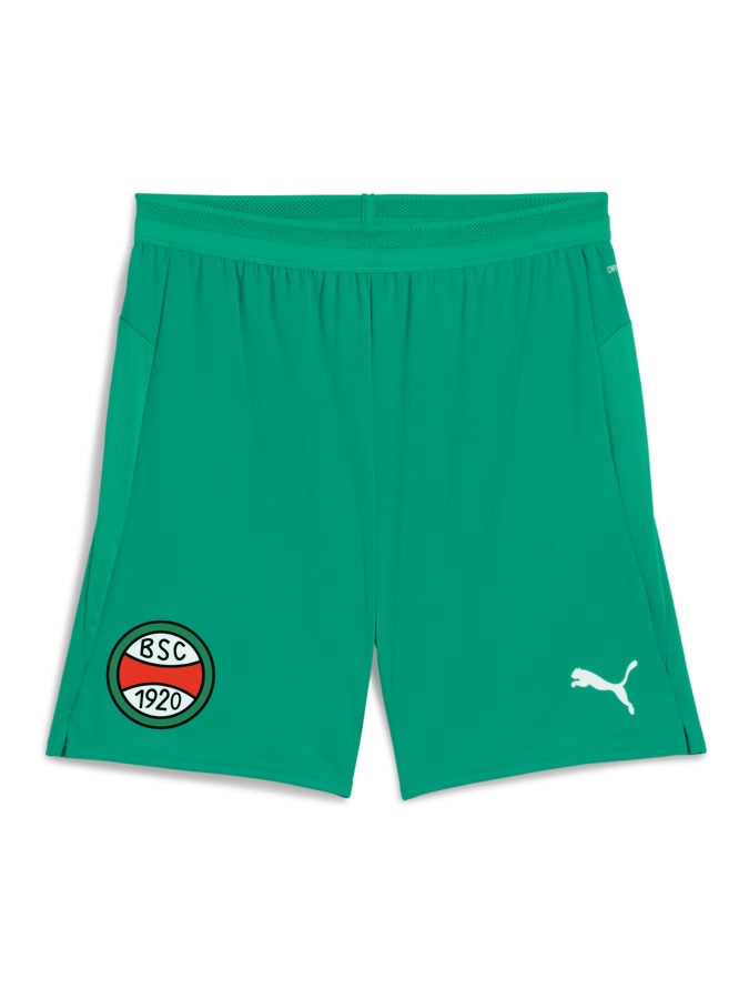 PUMA teamCUP Shorts