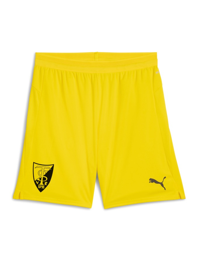 PUMA teamCUP Shorts