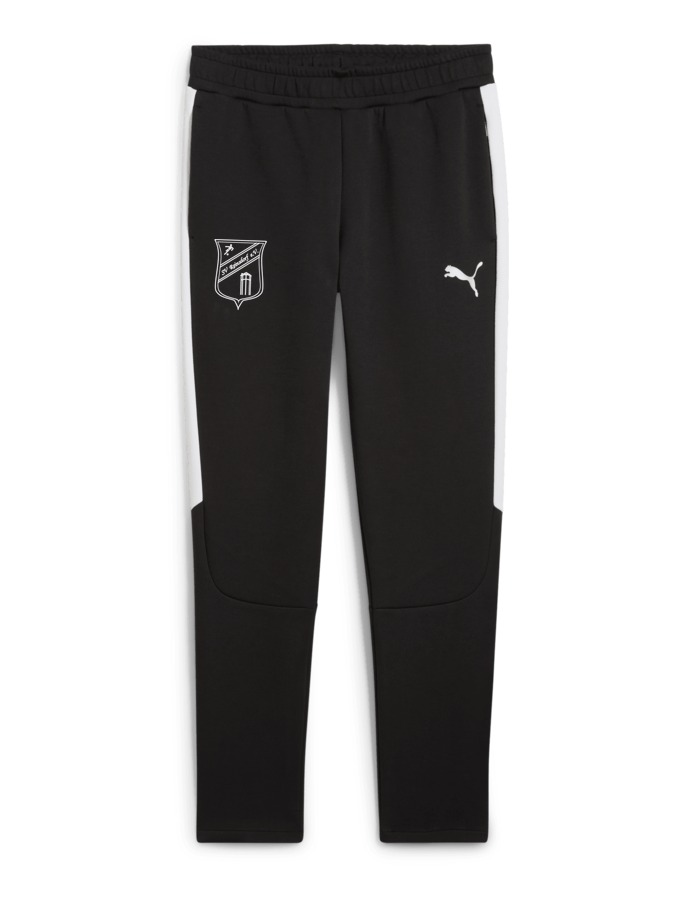 PUMA teamEVOSTRIPE Hose